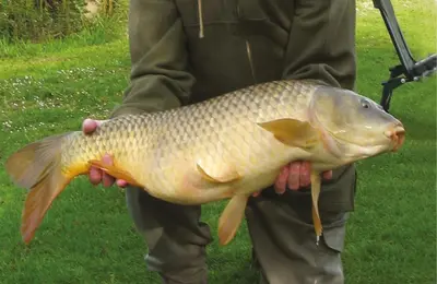 a man holding a large fish in his hands at Woodstock Park The Tawny Lodge in Wereham