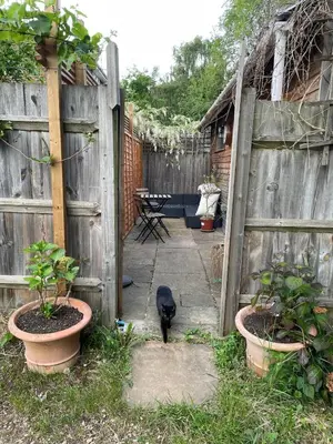 a black cat standing next to a wooden fence at Self-contained studio with patio in Ware