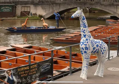 a statue of a giraffe standing next to some boats at Luxury boutique 'Duke Suite' In historic centre in Cambridge
