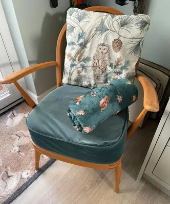 a chair with a pillow on top of it with a green cushion at Woodland View in East Harling
