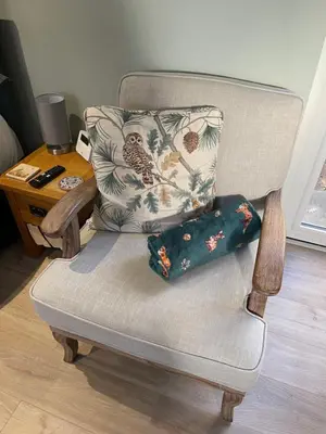 a chair with a pillow on top of it at Woodland View in East Harling