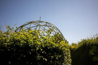 a glass dome behind some bushes and a hedge at The Manor Dairy in Sandy