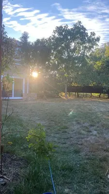 a house with the sun setting in a yard at Comfortable Homestay by Earith Lakes in Earith