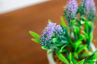 a vase filled with purple flowers on a table at 5 Bed Seaside Property with Garden , Parking and Games Room in Southend-on-Sea
