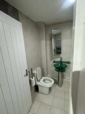 a bathroom with a toilet and a green sink at Systematic Home in Battlesbridge