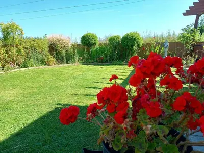 a bunch of red flowers in a yard at Bungalow with a view in Kirby Cross