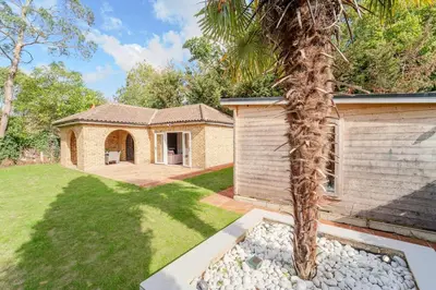 a palm tree in a yard next to a house at Emerson Park Villa, Heated Pool, Hot Tub, Cinema in Harold Wood