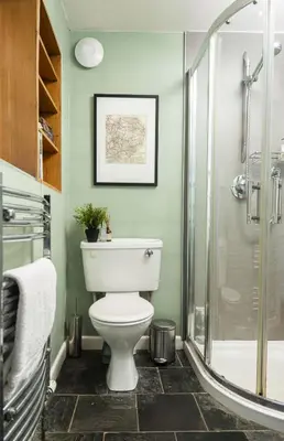 a bathroom with a toilet and a shower at 4 Angel Lane in Woodbridge