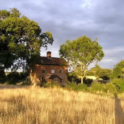 Oak Tree Farm