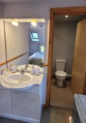 a bathroom with a sink and a toilet at Alington House in Cambridge