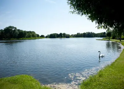 a swan is swimming in a large lake at Little Chequers in Friston