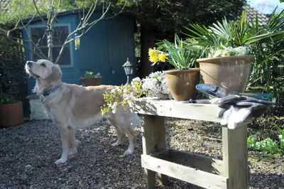a dog standing next to a table with flowers at Little Chequers in Friston