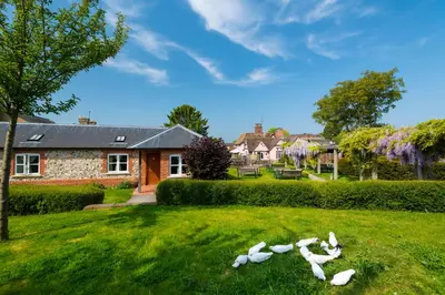 a group of birds on the grass in front of a house at The Red Lion Hinxton in Hinxton