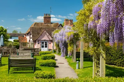 a garden with purple wisterias in front of a house at The Red Lion Hinxton in Hinxton