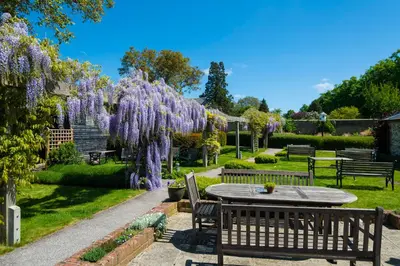 a garden with a table and purple wisterias at The Red Lion Hinxton in Hinxton