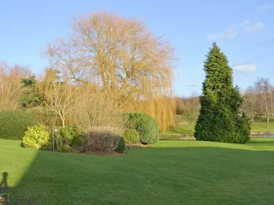 a green yard with trees and bushes and a tree at Granary Cottage in Bentley