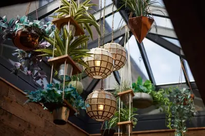 a bunch of potted plants hanging from a ceiling at The Bushel by Greene King Inns in Bury Saint Edmunds