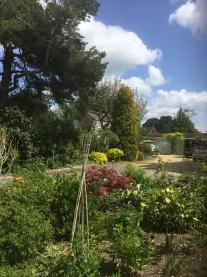a garden with lots of flowers and plants at Beech View Cottage in Downham Market