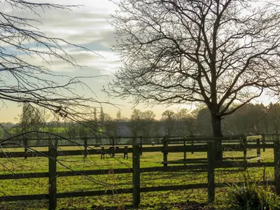 a fence and a tree in a field at Appletree Cottage Fressingfield in Fressingfield