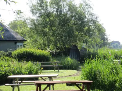 two picnic tables and a tree in a field at Thorpeness Golf Club and Hotel in Thorpeness