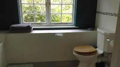 a bathroom with a toilet with a wooden seat and a window at Orchard Pond Bed & Breakfast in Duxford