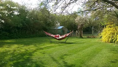 a person laying in a hammock in a yard at Orchard Pond Bed & Breakfast in Duxford