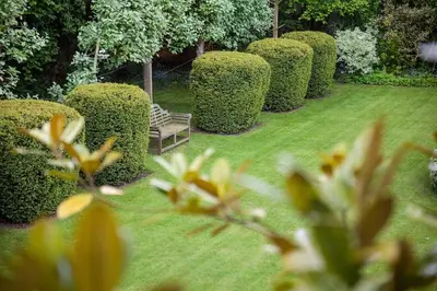 a garden with a bench in the middle of bushes at Vicarage House & Pool House in Hockham