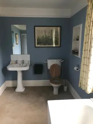 a blue bathroom with a toilet and a sink at Waldegrave farm in Hartest