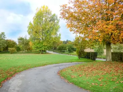 a winding road in a park with trees and grass at Glenhaven in Rendham