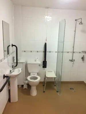 a bathroom with a toilet and a sink and a shower at The Black Bull Inn in Fyfield