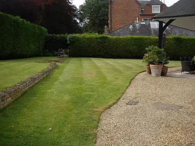 a garden with a yard with grass and bushes at The Coach House in Shepreth