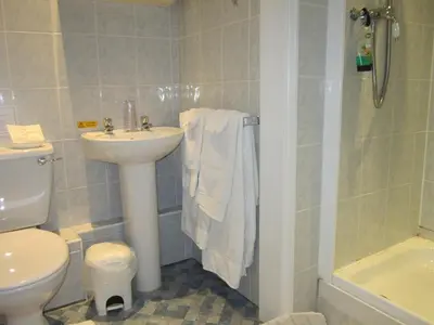 a bathroom with a sink and a toilet and a shower at Newmans Hall Bed & Breakfast in Little Waldingfield