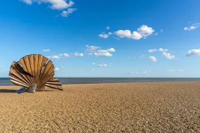 a shell on a beach with the ocean in the background at River View in Aldeburgh