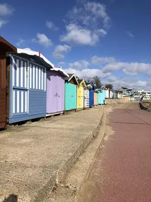 a row of colorful houses on the side of a street at Endymion Lodge in Colchester