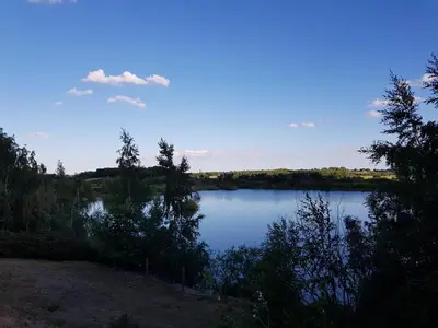 a view of a lake with trees and a blue sky at Plumptons Farm Holiday Lodges in Colchester