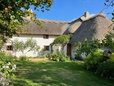 a thatched cottage with a lawn in front of it at Orchard Cottage in Willingham
