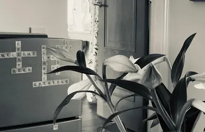 a plant is sitting next to a microwave at Kingfisher Nook at Waveney Farm in Hoxne