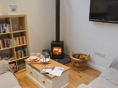 a living room with a wood stove in a living room at Blyth Green Stable in Long Stratton