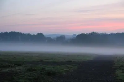 a foggy field with trees in the background at Haughley House in Stowmarket