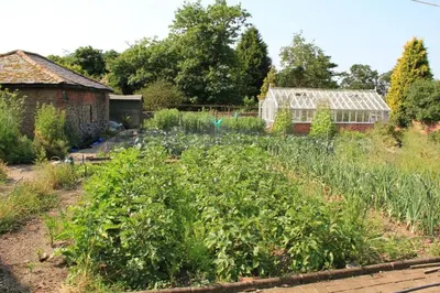 a garden with a greenhouse in the background at Haughley House in Stowmarket