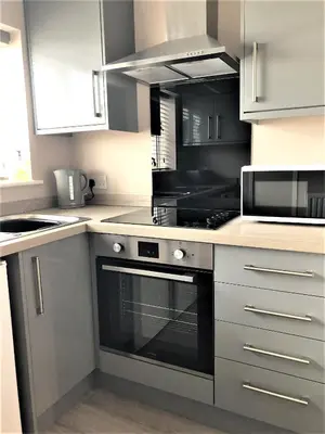 a kitchen with white cabinets and a black oven at Eclipse Apartment No 2 in Newmarket