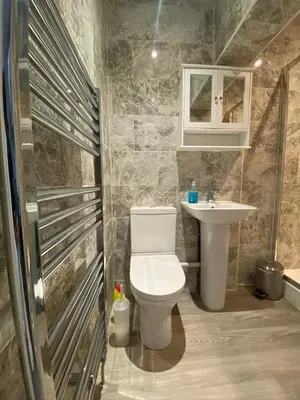 a bathroom with a toilet and a sink at Eclipse Apartment No 2 in Newmarket