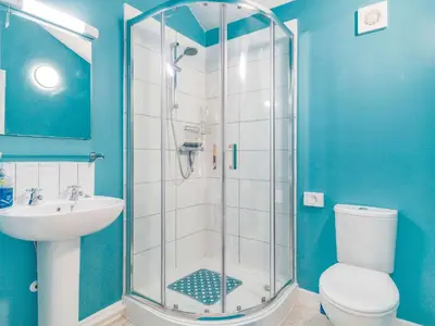 a bathroom with a shower and a toilet and a sink at The Hen House in Diss