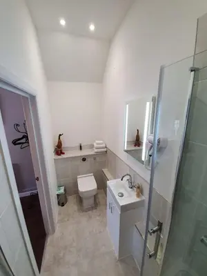 a bathroom with a toilet and a sink and a shower at Old Thatch Bambers Green in Takeley