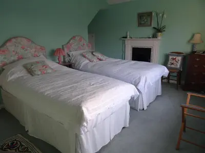 a bedroom with two beds and a fireplace at The Newnham White House in Baldock