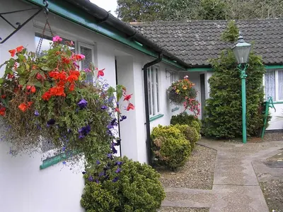 a house with flowers on the side of it at The Willow House in Watton