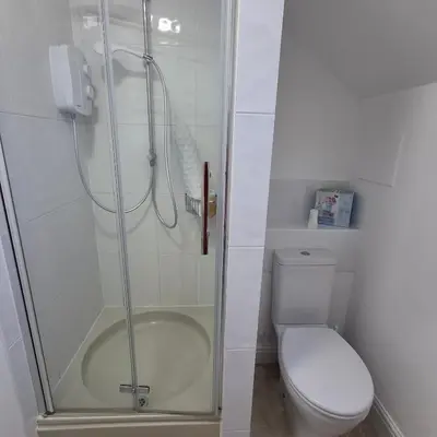 a bathroom with a shower and a toilet at The Abbey Hotel & Apartments in Bury Saint Edmunds