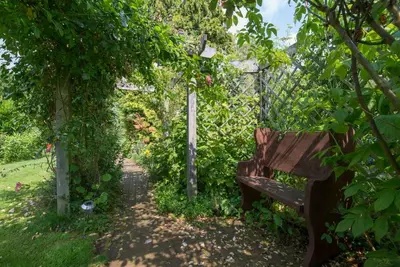 a wooden bench in a garden with a trail at Cobweb Cottage Studios in Spooner Row