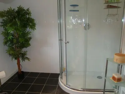 a bathroom with a shower and a potted plant at Cobblestones in Benington