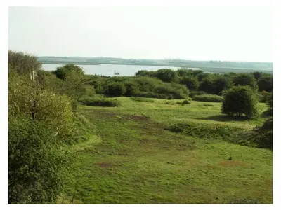 a field of green grass with a body of water at Beaver Cottage in Aldeburgh